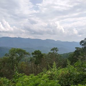 Meet your Posher, Steve